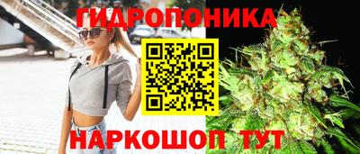 гидропоника Конаково
