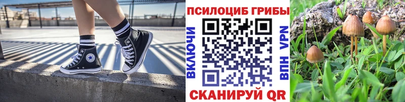 MEGA ссылки  Котельники  Псилоцибиновые грибы Psilocybe 